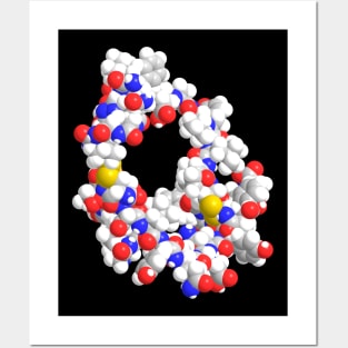 Insulin Molecule Chemistry Posters and Art